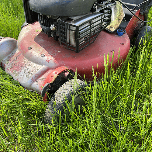 Why Won't My Lawnmower Start?