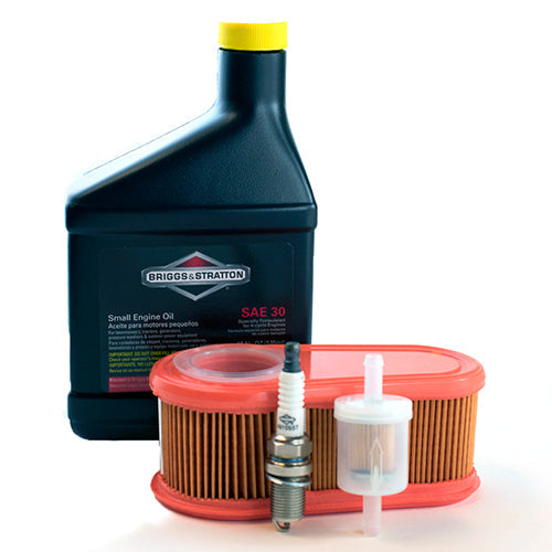 Briggs & Stratton RePOWER Kit (795066) 1