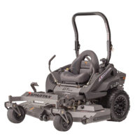 The First Start of Spring