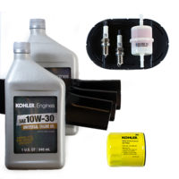 Why Leaves Change Color