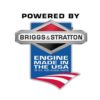 Briggs & Stratton Carburetor (590944)